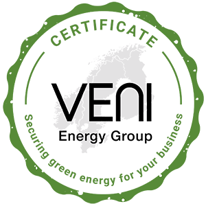 VENI - Green Energy logo
